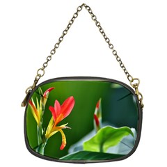 Lily 1 Chain Purse (one Side) by Cardsforallseasons