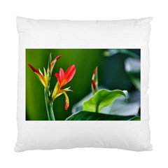 Lily 1 Cushion Case (single Sided)  by Cardsforallseasons