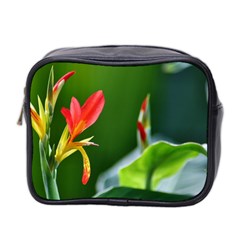 Lily 1 Mini Travel Toiletry Bag (two Sides)