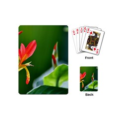 Lily 1 Playing Cards (mini)