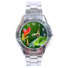 Lily 1 Stainless Steel Watch