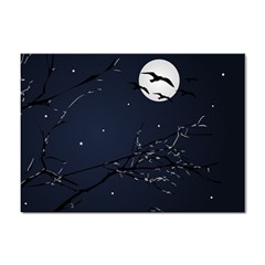 Night Birds And Full Moon A4 Sticker 10 Pack by dflcprints