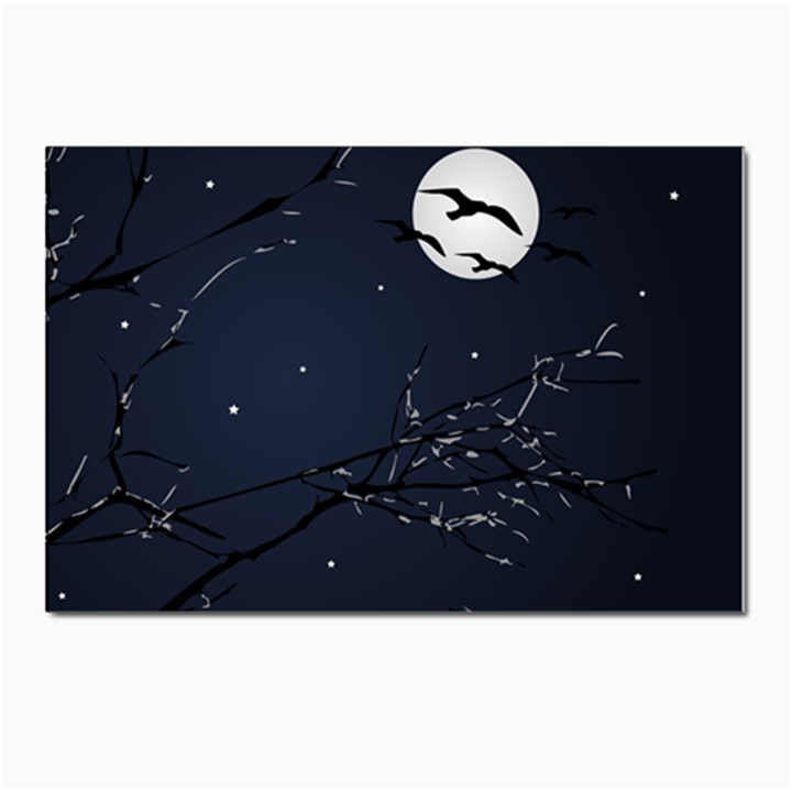 Night Birds and Full Moon Postcards 5  x 7  (10 Pack)