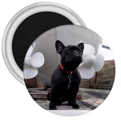 French Bulldog 3  Button Magnet