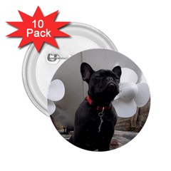 French Bulldog 2.25  Button (10 pack)