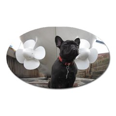 French Bulldog Magnet (oval) by StuffOrSomething