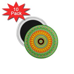 Mandala 1 75  Button Magnet (10 Pack)