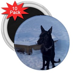 Snowy Gsd 3  Button Magnet (10 Pack) by StuffOrSomething