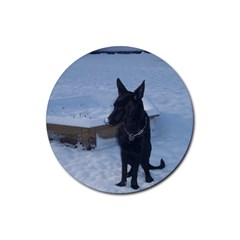 Snowy Gsd Drink Coasters 4 Pack (round) by StuffOrSomething