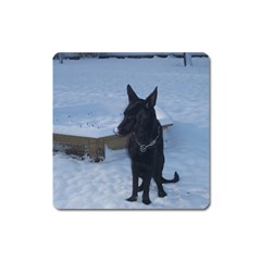 Snowy Gsd Magnet (square)