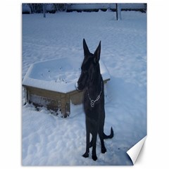 Snowy Gsd Canvas 12  X 16  (unframed) by StuffOrSomething