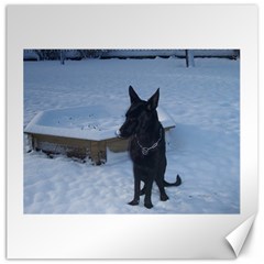 Snowy Gsd Canvas 20  X 20  (unframed)