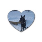 Snowy Gsd Drink Coasters (Heart) Front