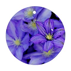 Purple Wildflowers For Fms Round Ornament