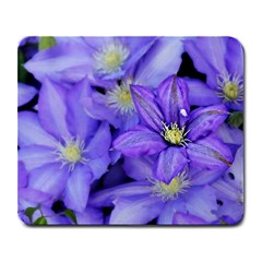 Purple Wildflowers For Fms Large Mouse Pad (rectangle)