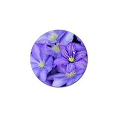 Purple Wildflowers For Fms Golf Ball Marker 4 Pack