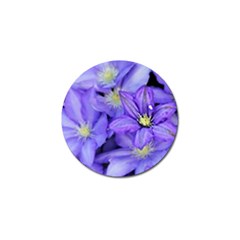 Purple Wildflowers For Fms Golf Ball Marker 10 Pack by FunWithFibro