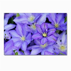 Purple Wildflowers For Fms Postcard 4 x 6  (10 Pack) by FunWithFibro