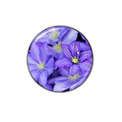 Purple Wildflowers For Fms Golf Ball Marker 4 Pack (for Hat Clip)