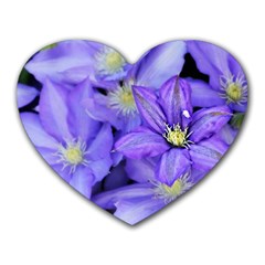 Purple Wildflowers For Fms Mouse Pad (heart)