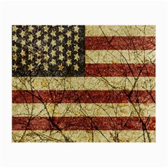 Vinatge American Roots Glasses Cloth (small, Two Sided)