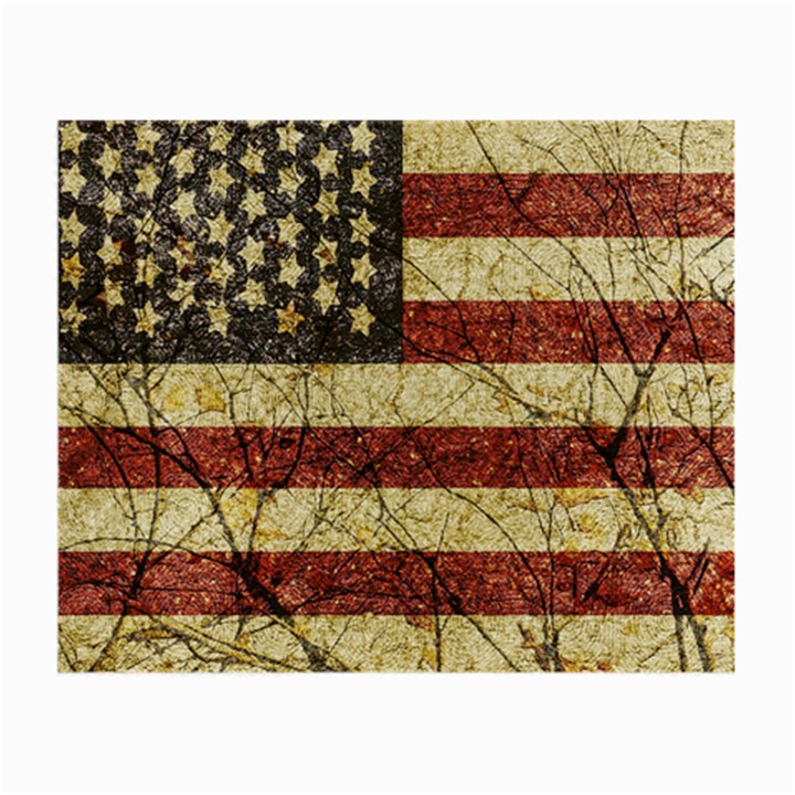 Vinatge American Roots Glasses Cloth (Small, Two Sided)