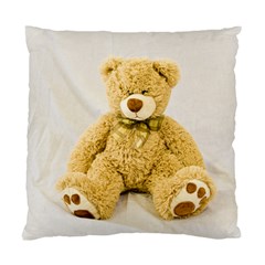 Teddy Cushion Case (single Sided) 