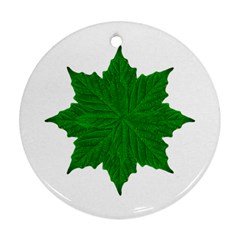 Decorative Ornament Isolated Plants Round Ornament by dflcprints