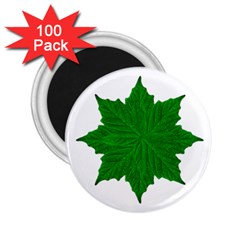 Decorative Ornament Isolated Plants 2 25  Button Magnet (100 Pack)