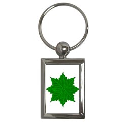 Decorative Ornament Isolated Plants Key Chain (rectangle) by dflcprints