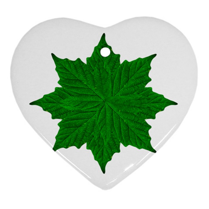 Decorative Ornament Isolated Plants Heart Ornament (Two Sides)