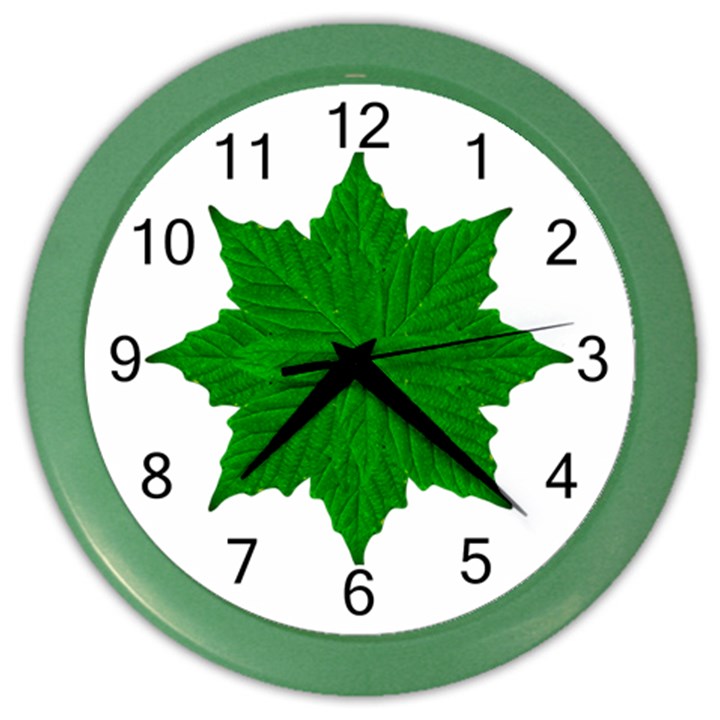 Decorative Ornament Isolated Plants Wall Clock (Color)