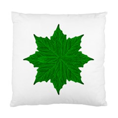 Decorative Ornament Isolated Plants Cushion Case (two Sided)  by dflcprints