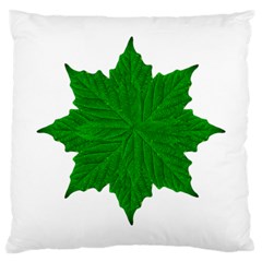 Decorative Ornament Isolated Plants Large Cushion Case (two Sided) 