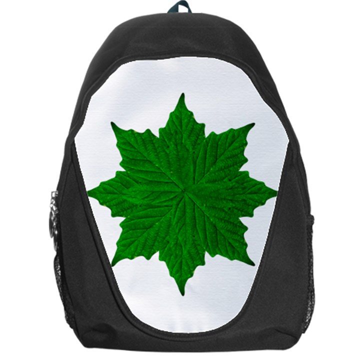 Decorative Ornament Isolated Plants Backpack Bag