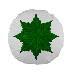 Decorative Ornament Isolated Plants 15  Premium Round Cushion  by dflcprints