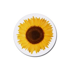 Sunflower Drink Coasters 4 Pack (round)