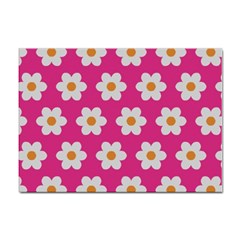 Daisies A4 Sticker 100 Pack by SkylineDesigns