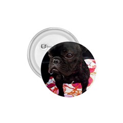 French Bulldog Sitting 1 75  Button