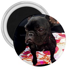 French Bulldog Sitting 3  Button Magnet