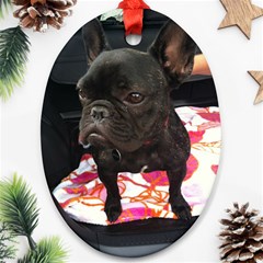 French Bulldog Sitting Oval Ornament