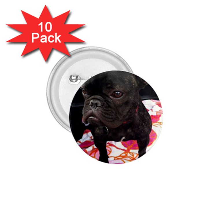 French Bulldog Sitting 1.75  Button (10 pack)