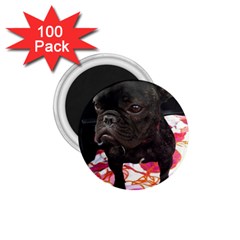 French Bulldog Sitting 1 75  Button Magnet (100 Pack)