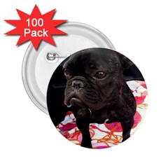 French Bulldog Sitting 2 25  Button (100 Pack)