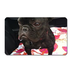 French Bulldog Sitting Magnet (rectangular) by StuffOrSomething