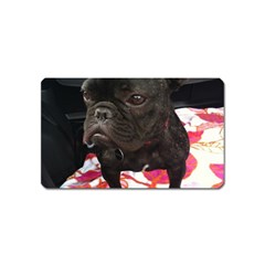 French Bulldog Sitting Magnet (name Card)