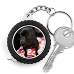 French Bulldog Sitting Measuring Tape Front