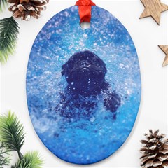 French Bulldog Swimming Oval Ornament by StuffOrSomething