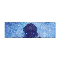 French Bulldog Swimming Bumper Sticker 10 Pack