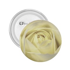  Cream Rose 2 25  Button by Colorfulart23